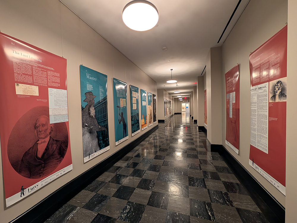 A long hallway with tall museum panels